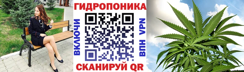Канабис план  ОМГ ОМГ онион  Ладушкин  даркнет сайт 
